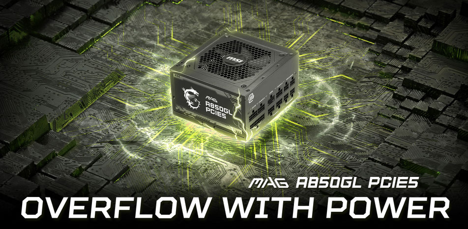 MSI MAG A850GL PCIE5 Bloc D'alimentation | 306-7ZP8A11-CE0