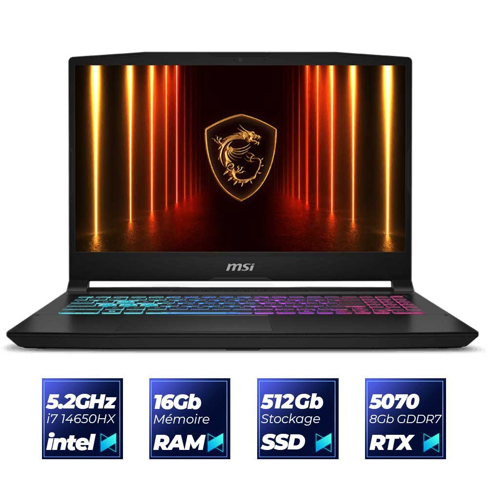 MSI Katana 15 B13V Gaming PC Portable B14WGK-006FR